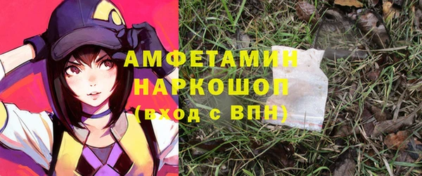 стаф Вязьма