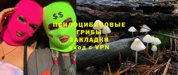 стаф Вязьма