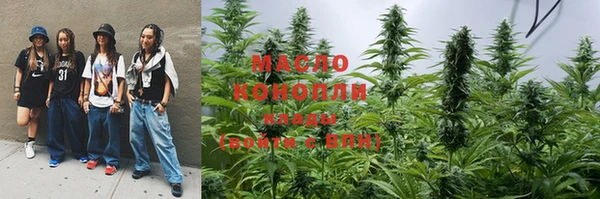 стаф Вязьма
