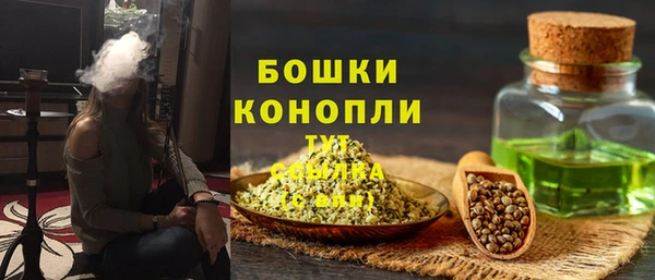 стаф Вязьма